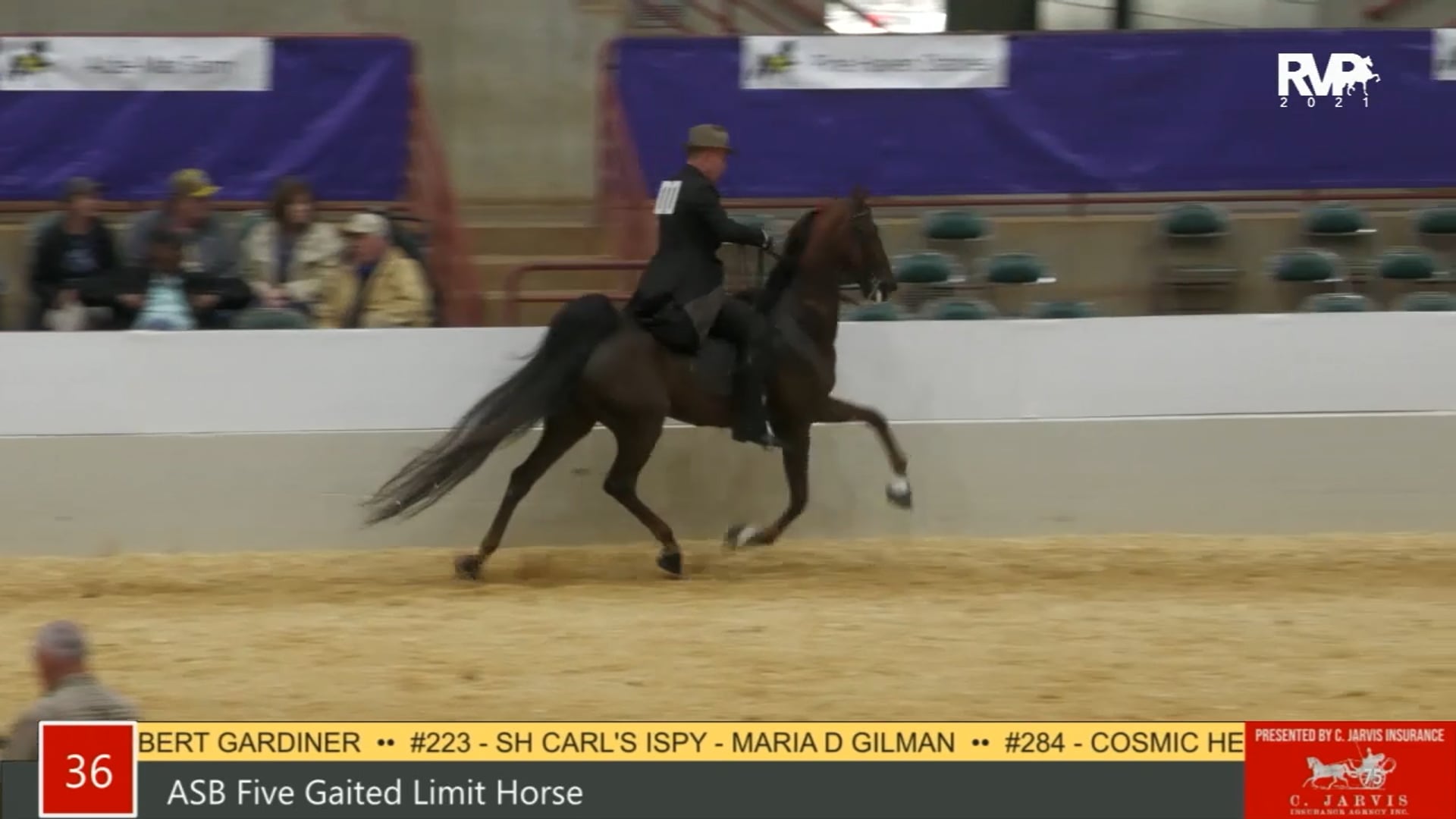 PA21 - Class 36 - ASB Five Gaited Limit Horse
