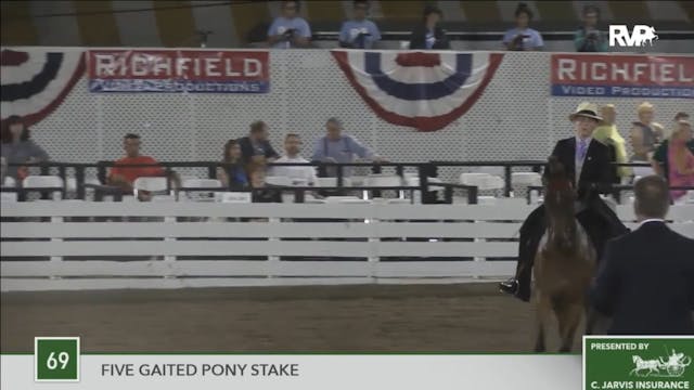 2016 RC - Class 69 Five Gaited Pony S...