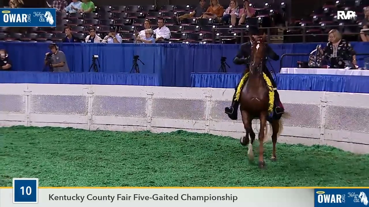 WCHS18 Class 10 - I'm Ziggy Stardust