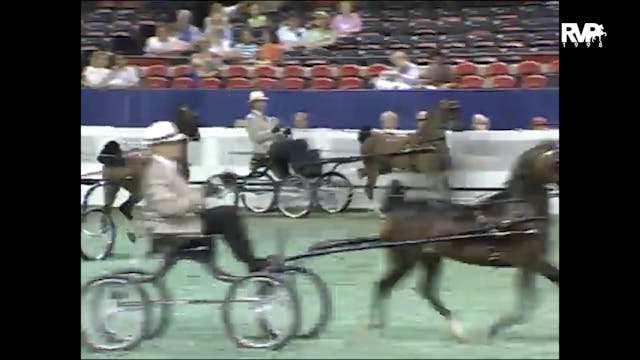 1998 WCHS - Class 75 Amateur Hackney ...