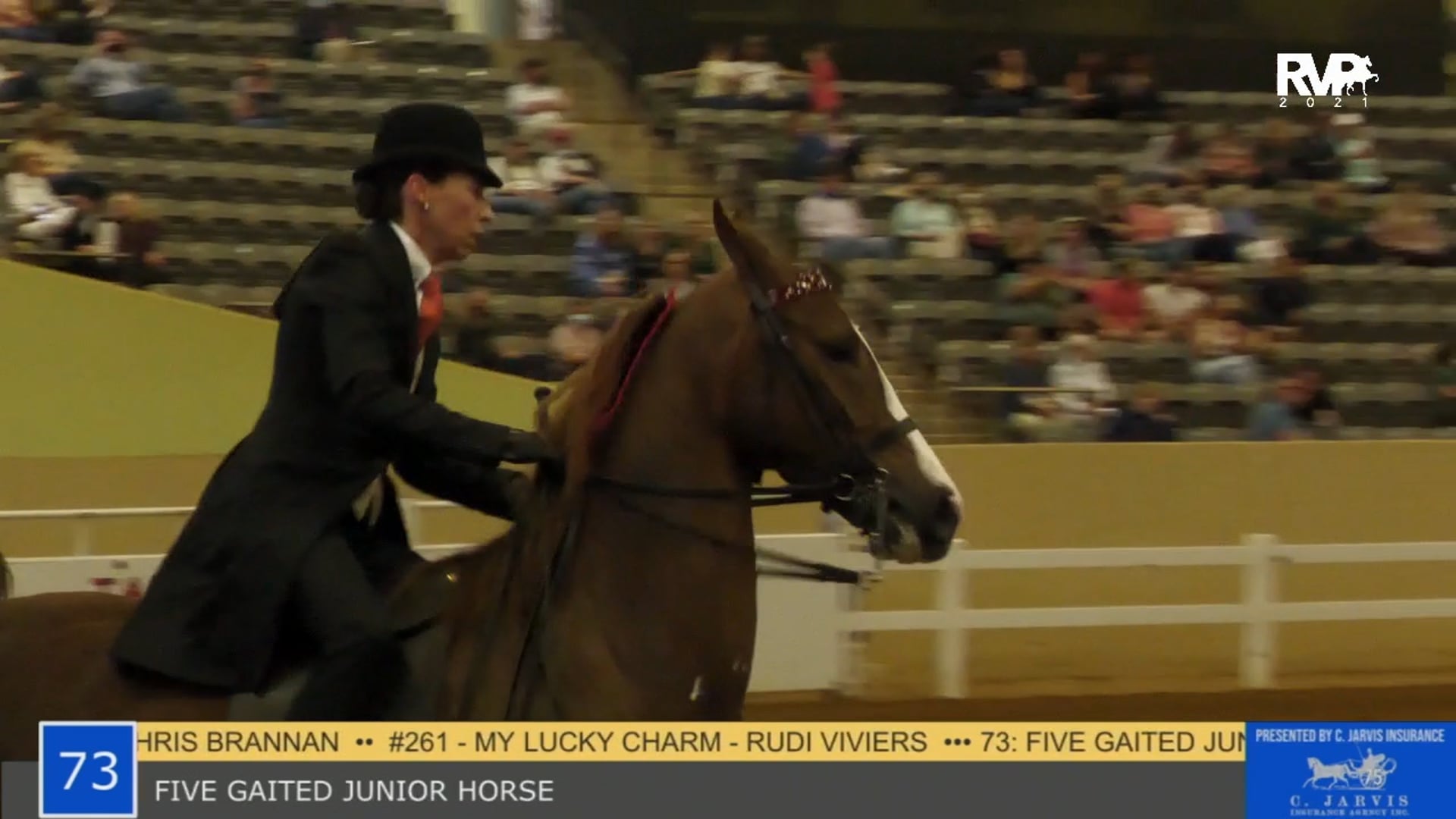 KYSP21 - Class 73 - Five Gaited Junior Horse