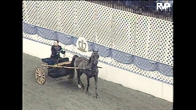 2006 AR - UPHA Hackney Pony Pleasure ...