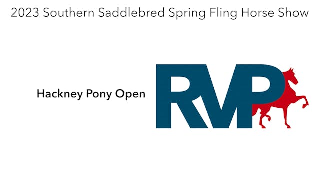 RR23 - Class 17 - Hackney Pony Open