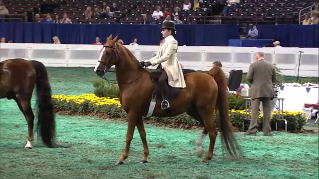 2012 World's Championship Horse Show ...