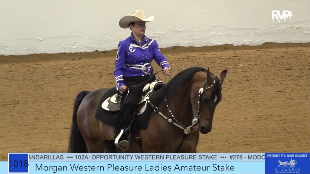BB21 - Class 101B - Morgan Western Pleasure Ladies Amateur Stake