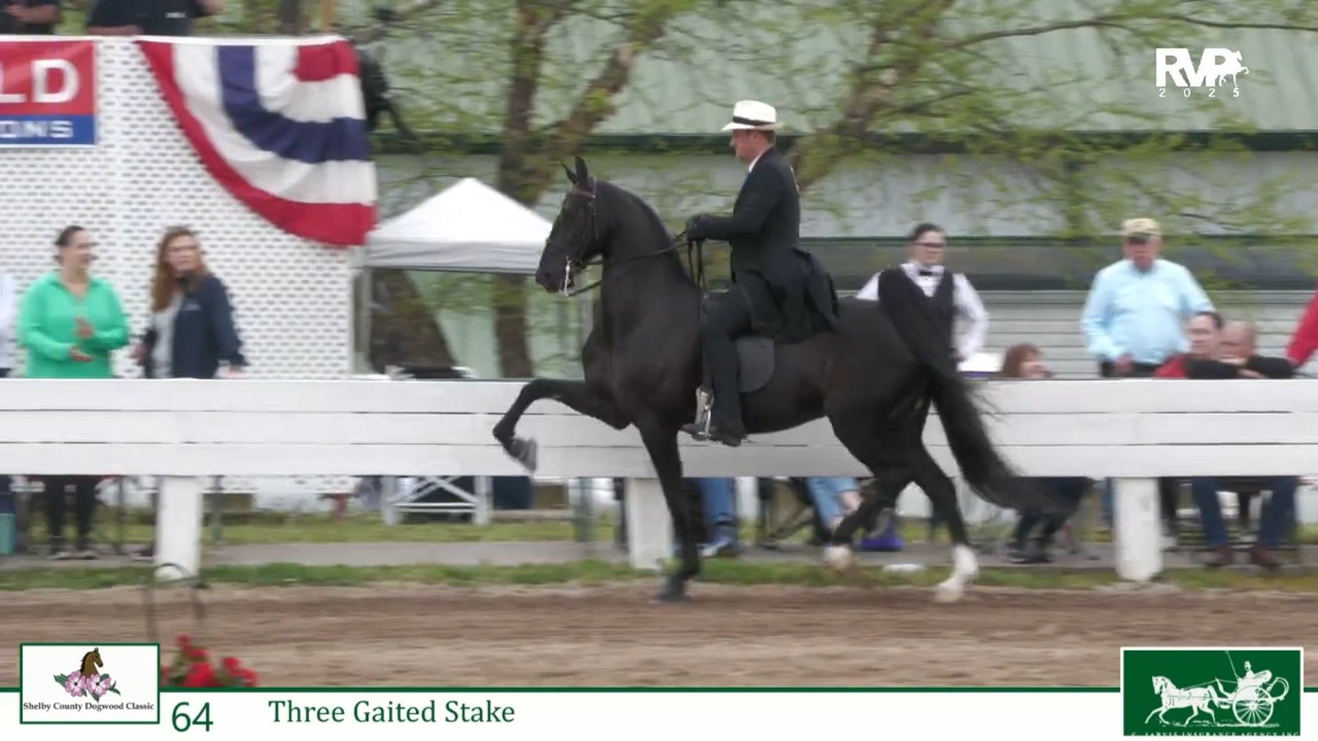 DC25 - Class 64 - Three Gaited Stake