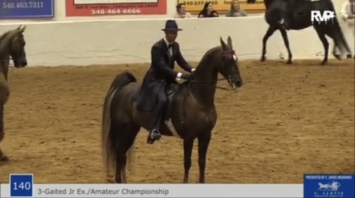BB21 - Class 140 - Amateur-Junior Exhibitor Three Gaited Championship