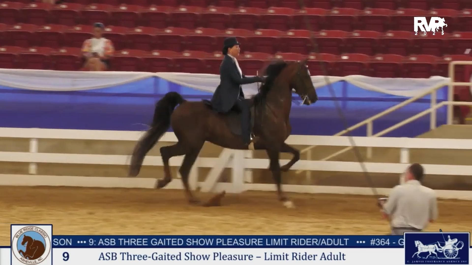 BRC25 - Class 9 - ASB Three Gaited Show Pleasure Limit Rider & Adult