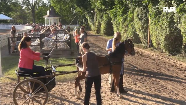 2016 RC - Class 51a Hackney Pony Park...