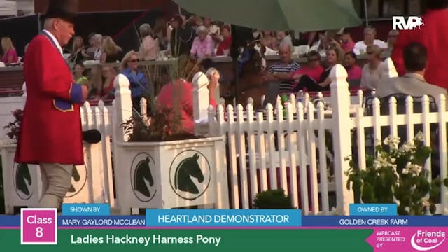 2015 LJL - Class 8 Ladies Hackney Har...