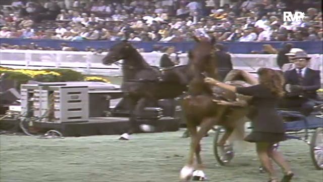 1991 WCHS Class 126 Junior Fine Harne...