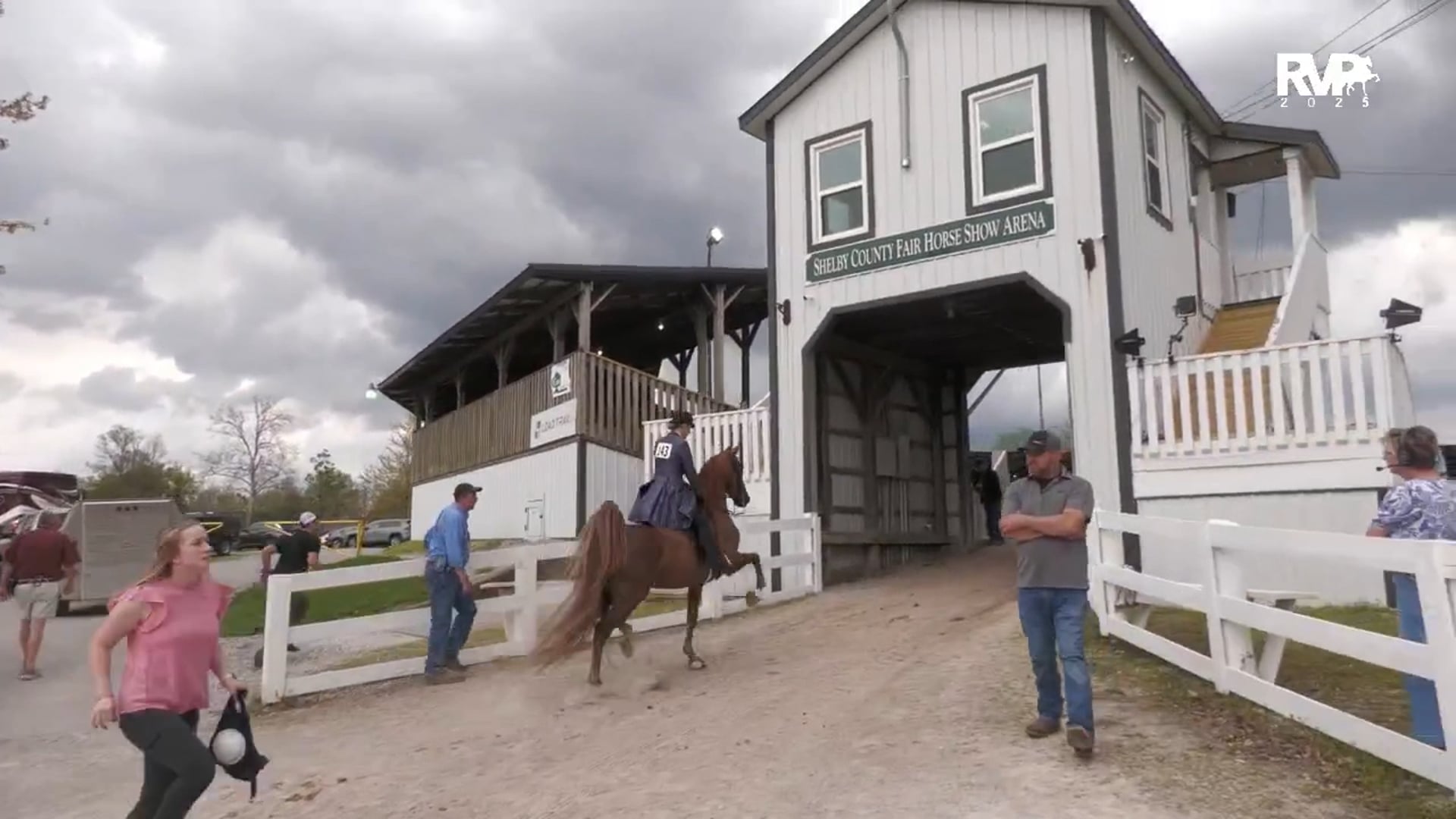 DC25 - Class 52 - Five Gaited Jr Exhibitor-Amateur Stake