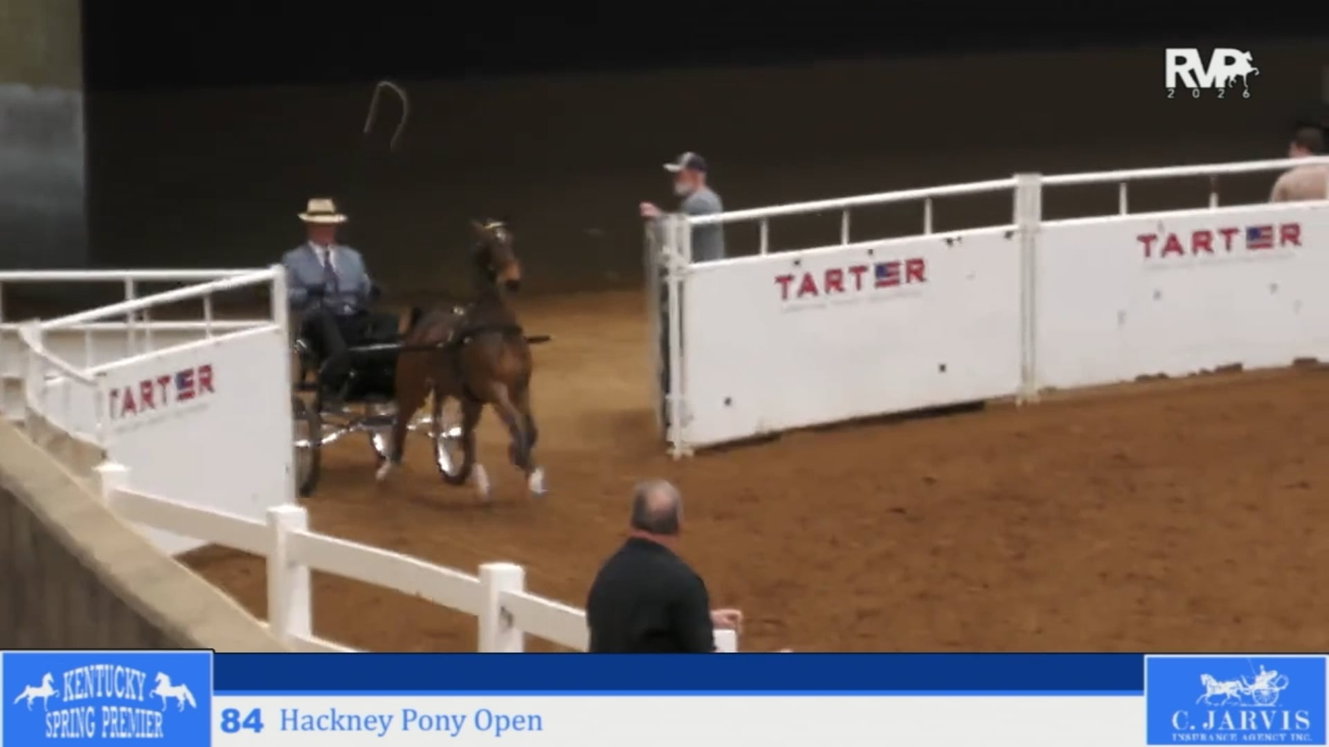 KYSP26 - Class 84 - Hackney Pony Open