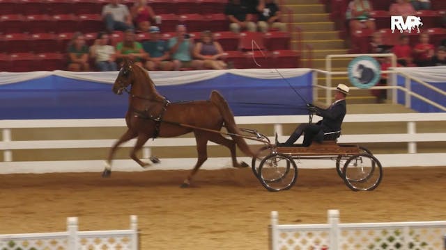ASF23 - Class 92 -  ASB Fine Harness ...