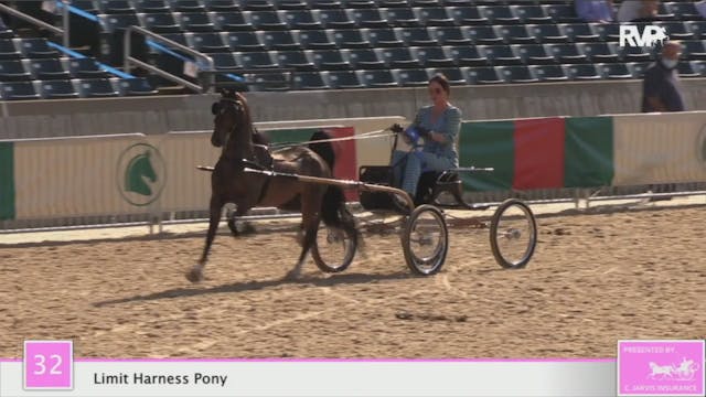 2020 LJL - Class 32 Limit Harness Pony