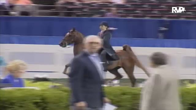 2006 WCHS Class 35 Three Gaited Pony ...