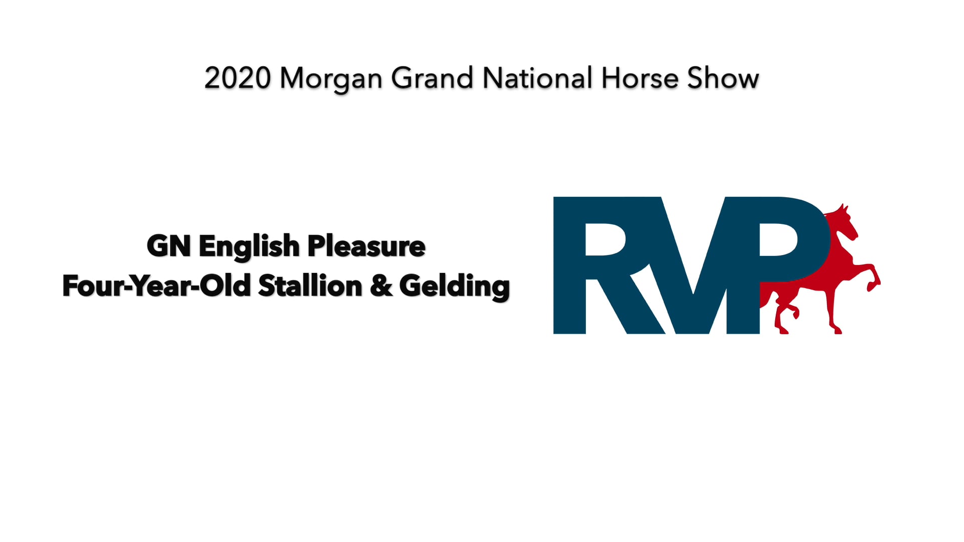 2020 MGN - Class 41 GN English Pleasure Four-Year-Old Stallion & Gelding