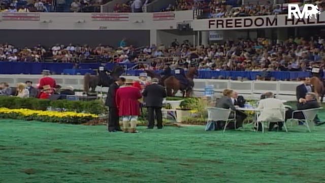 2004 World's Championship Horse Show ...