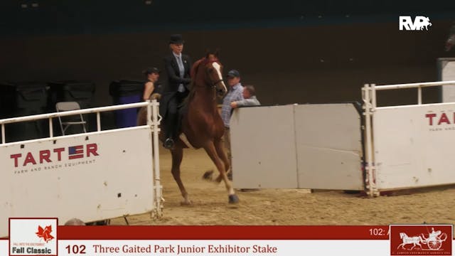 KFC24 - Class 102 - Three Gaited Park...