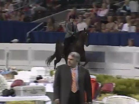 2008 WCHS Class 22 Junior Exhibitor F...