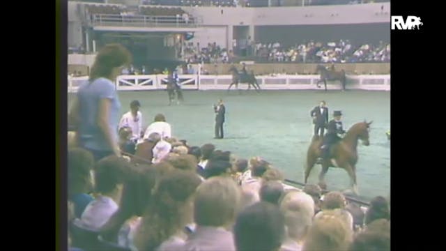 1988 WCHS Class 69 Three Gaited Junio...