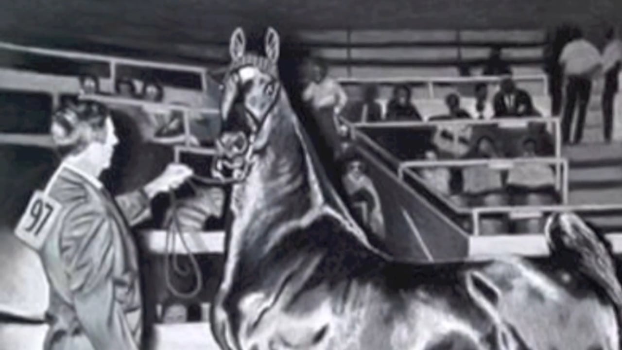 An Interview With Judd Stables