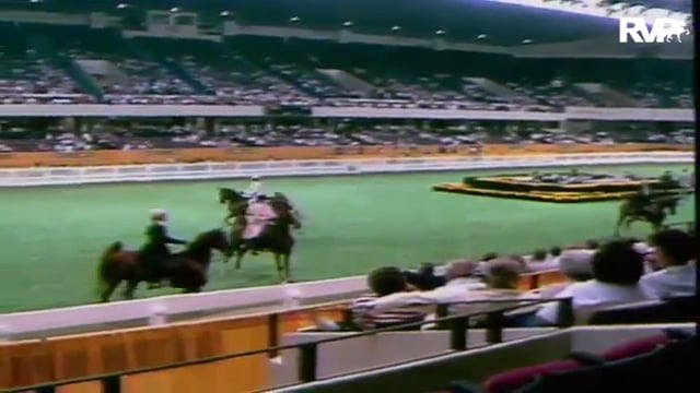 1986 WCHS Class 42 Three Gaited Pony ...