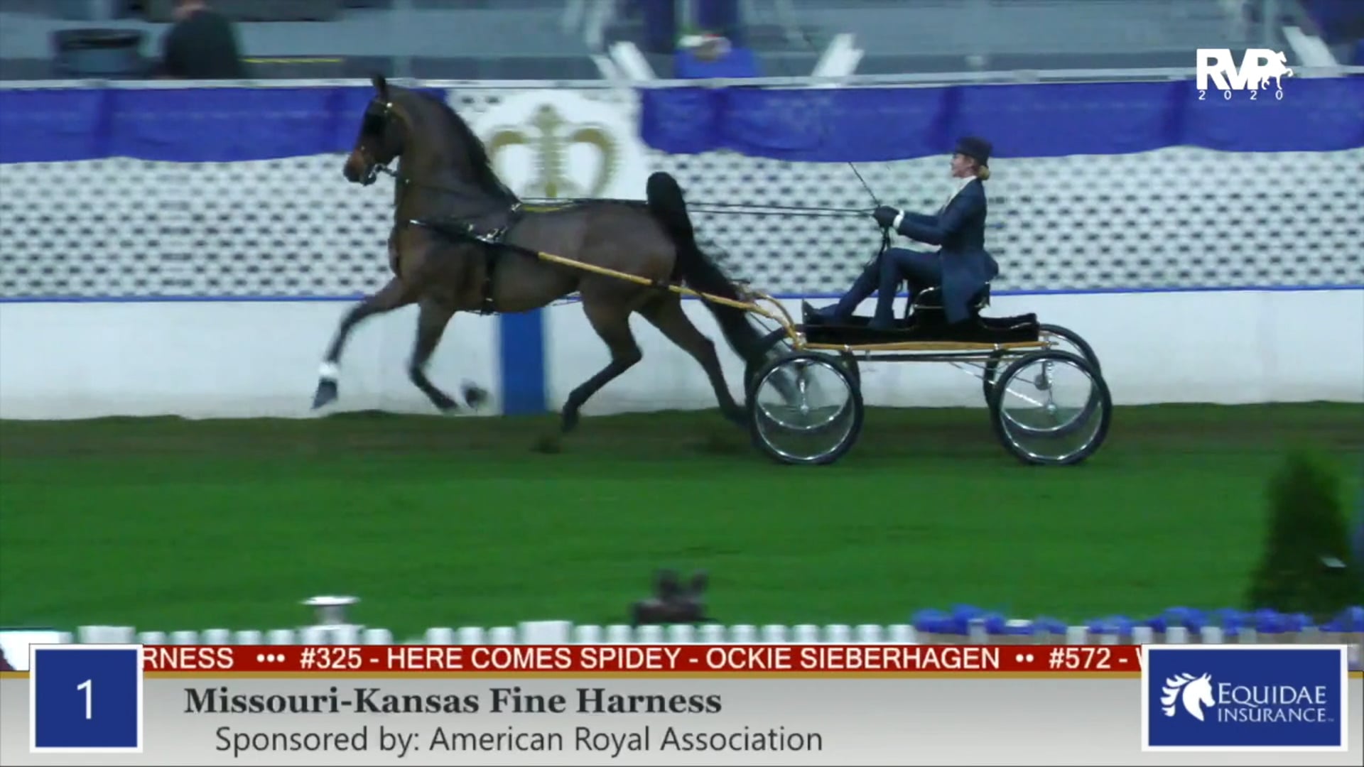 2020 AR - Class 1 ASB MO:KS Fine Harness