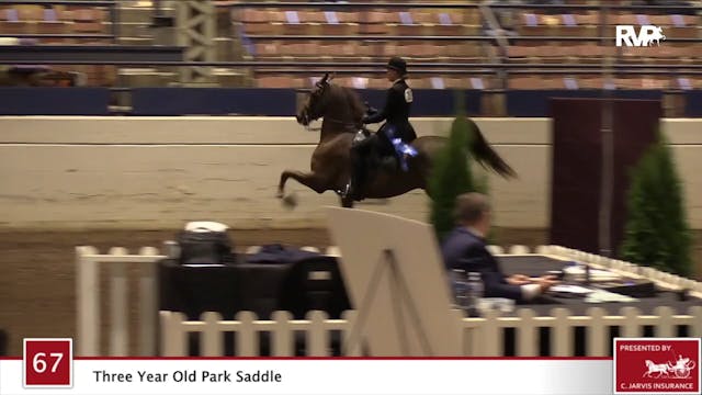 2020 JMHS - Class 67 Three Year Old P...