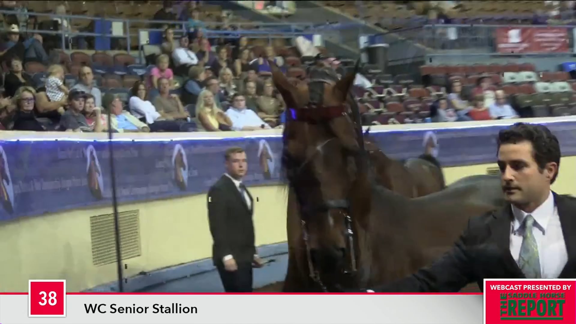 MGN17 - Class 38 - Merriehill After Hours GCH