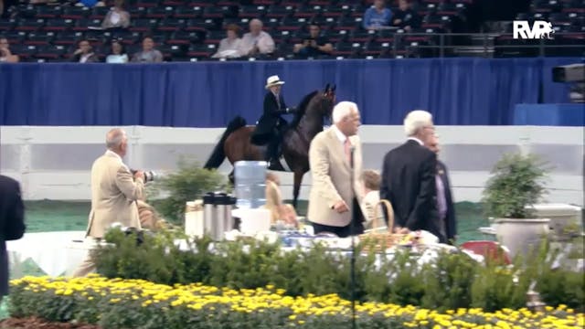 2012 WCHS - Class 30 Five Gaited Pony...