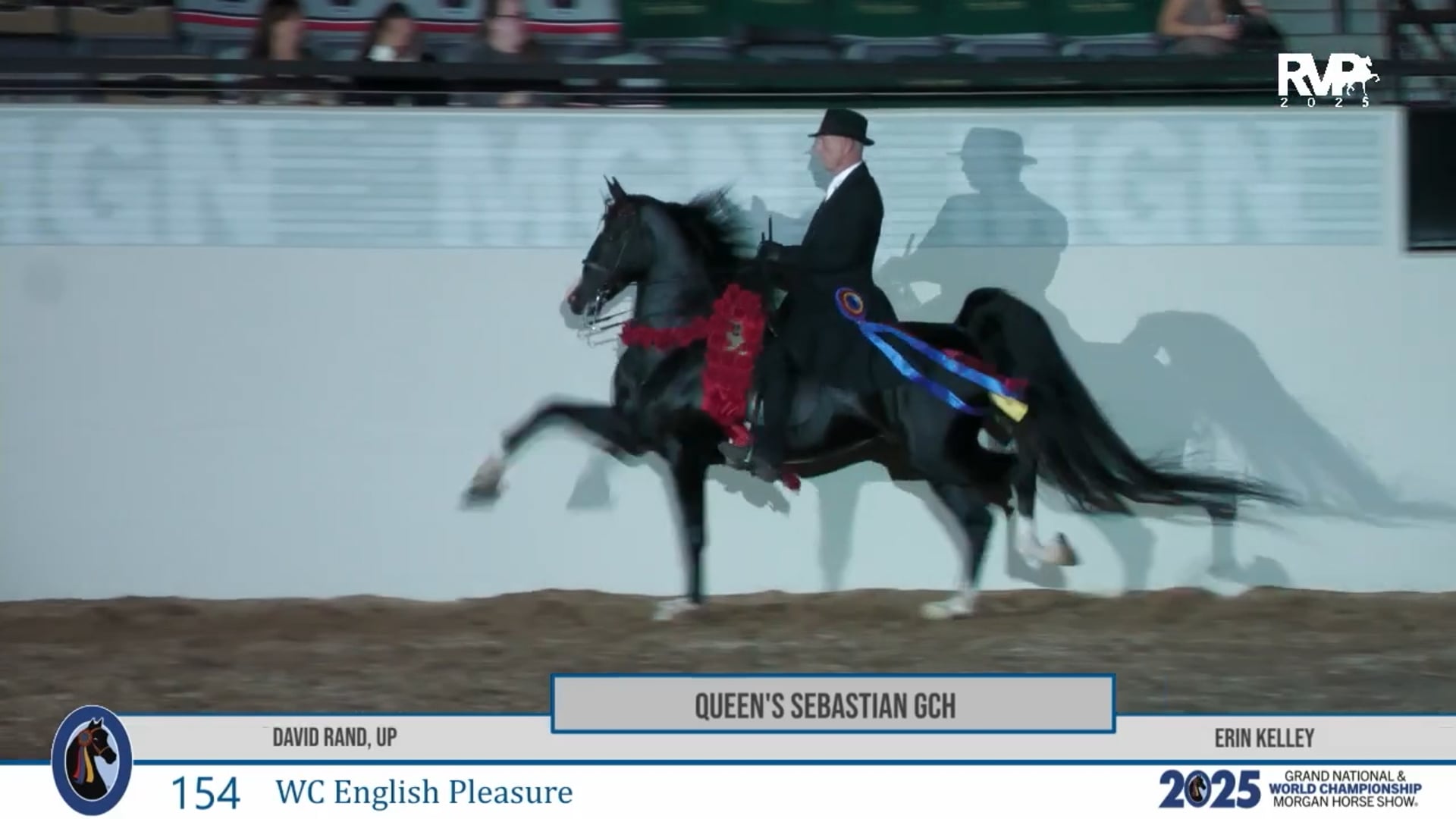 MGN25 - Class 154 - Queen's Sebastian GCH and David Rand, Up