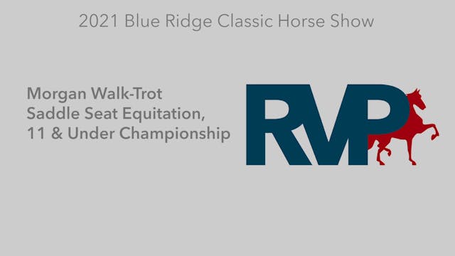 BR21 - Class 124 - Morgan Walk-Trot S...