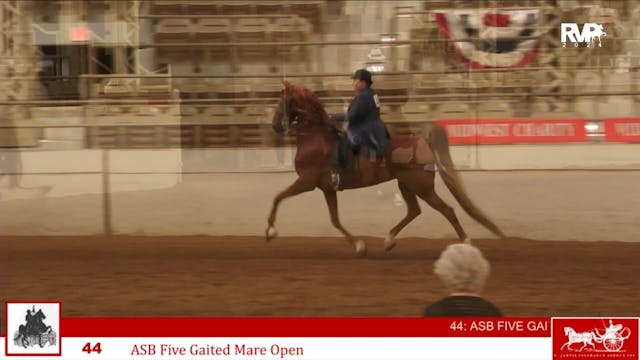 MW24 - Class 44 - ASB Five Gaited Mar...