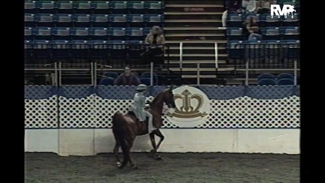 2006 AR - Class 102 UPHA Walk-Trot Ch...