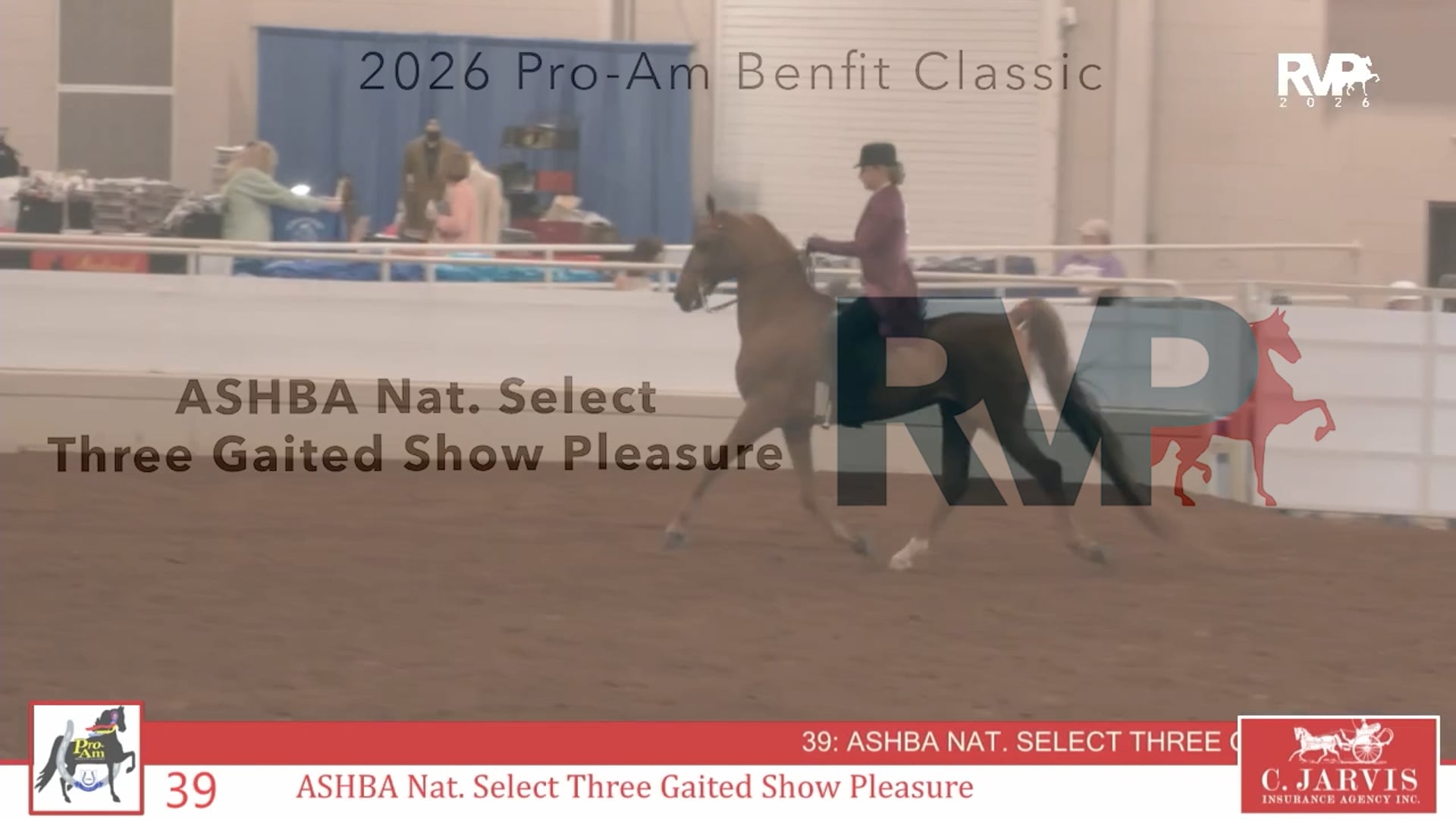 PrroAm26 - Class 39 - ASHBA Nat Select Three Gaited Show Pleasure