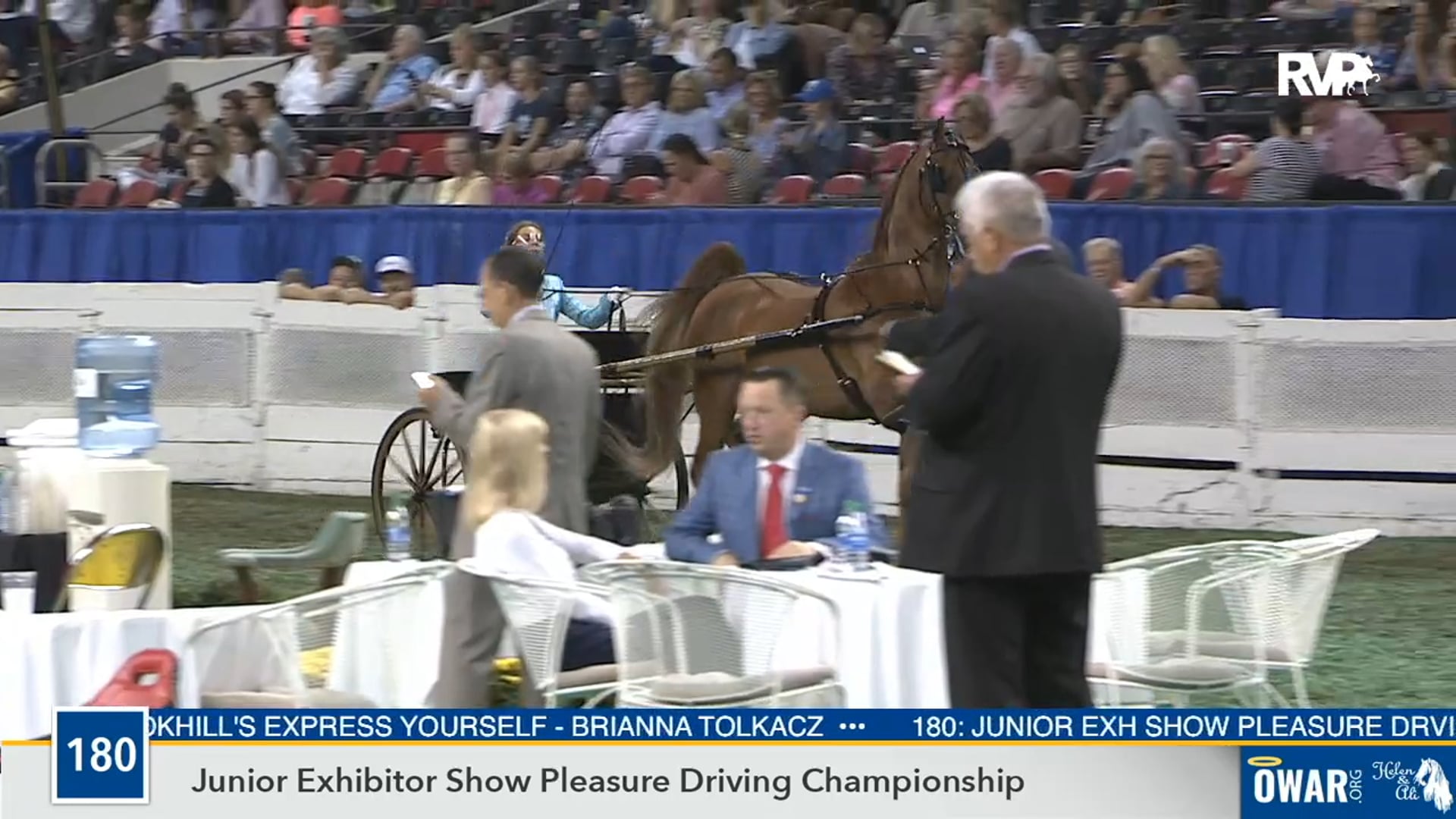 2019 WCHS - Class 180 Junior Exhibitor Show Pleasure Driving Championship