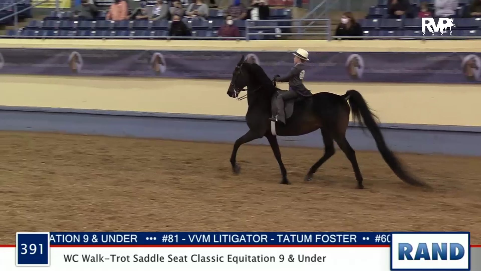 2020 MGN - 391 WC Walk-Trot Saddle Classic Equitation 9 & Under