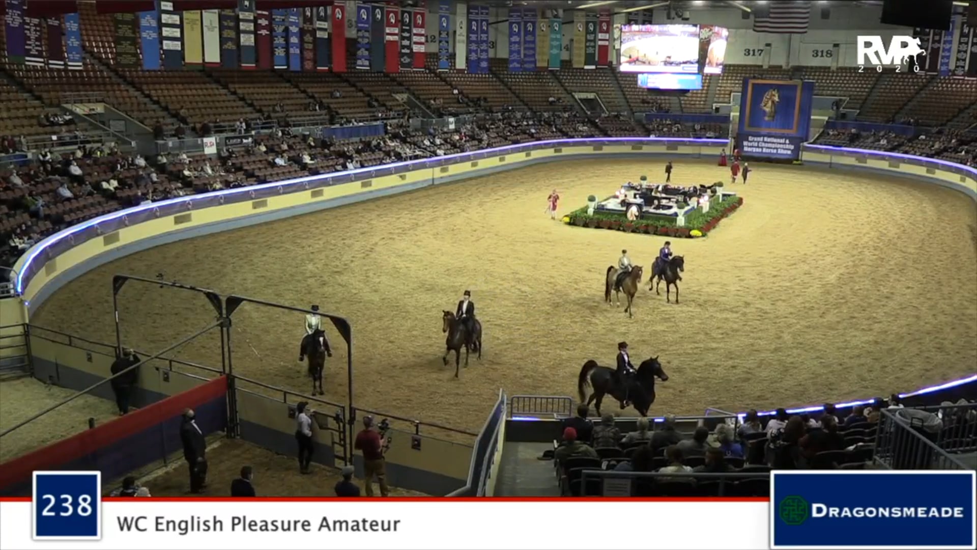 2020 MGN - Class 238 WC English Pleasure Amateur