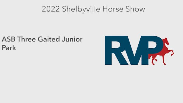 SHS22 - Class 45 -  ASB Three Gaited ...
