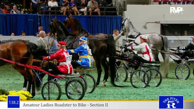 WCHS23 - Class 138.2 - Amateur Ladies...