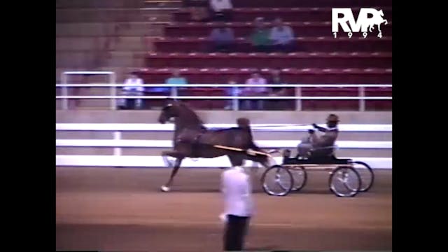 1994 Blue Ridge Classic - O'Glory and...