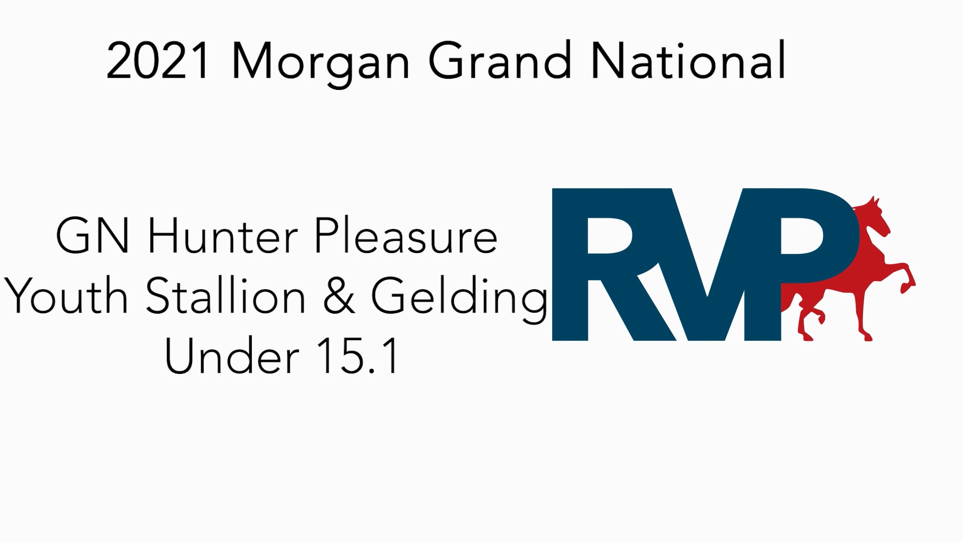 MGN21 - Class 41 - GN Hunter Pleasure Youth Stallion & Gelding Under 15.1