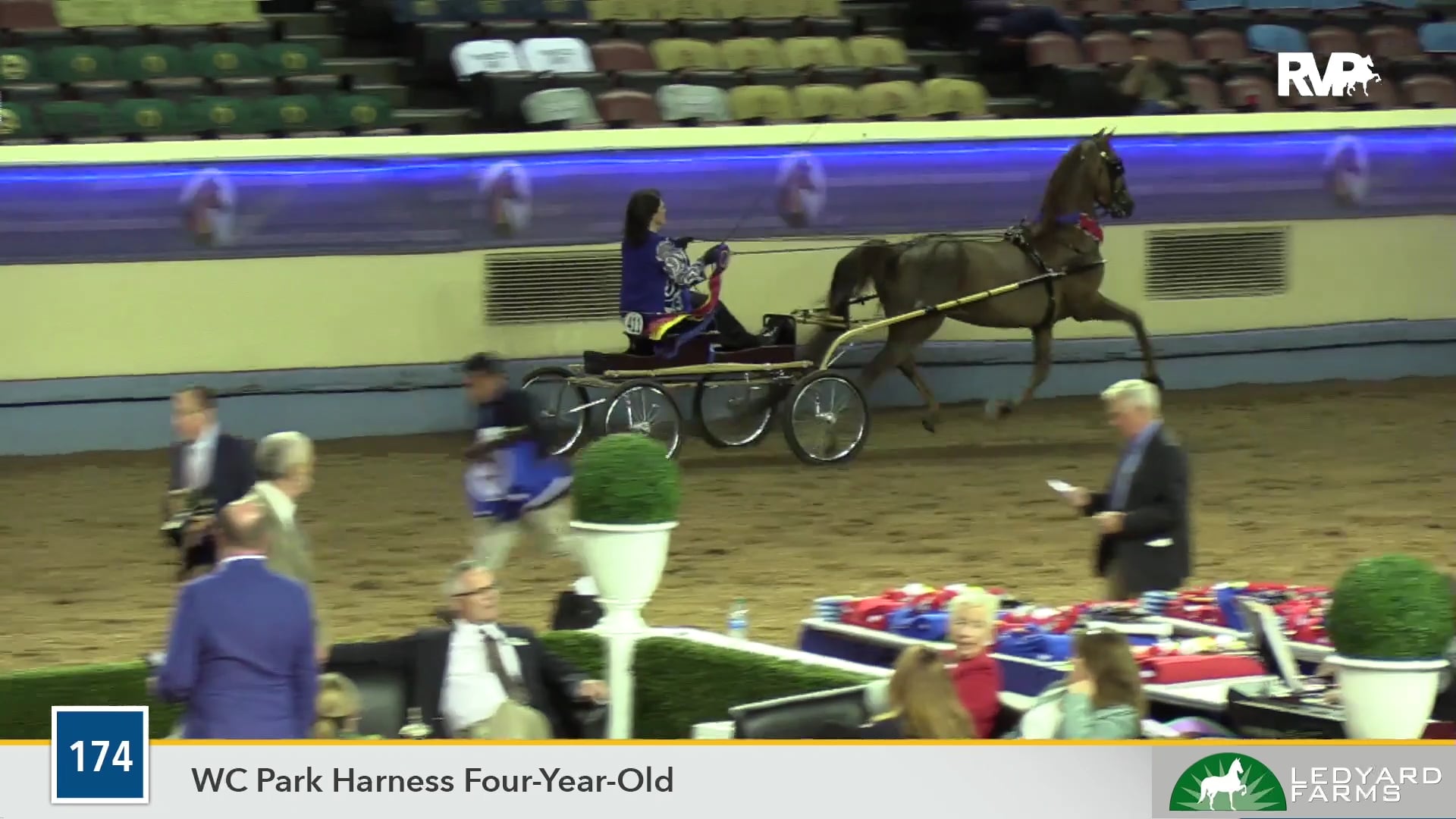 MGN19 - Hollywood Steve McQueen - Class 174