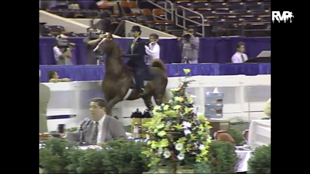 1999 WCHS - Class 81 ASB Three Gaited...