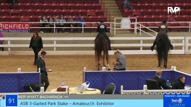 ASW21 - Class 91 - ASB Three Gaited P...