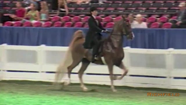 2001 WCHS - Class 67 - 15 Year Old Eq...