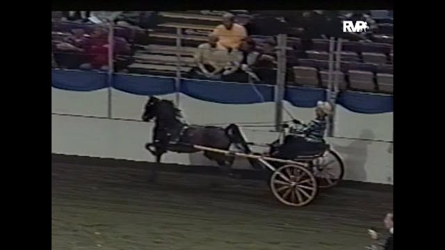 2004 American Royal - Pleasure Pony D...