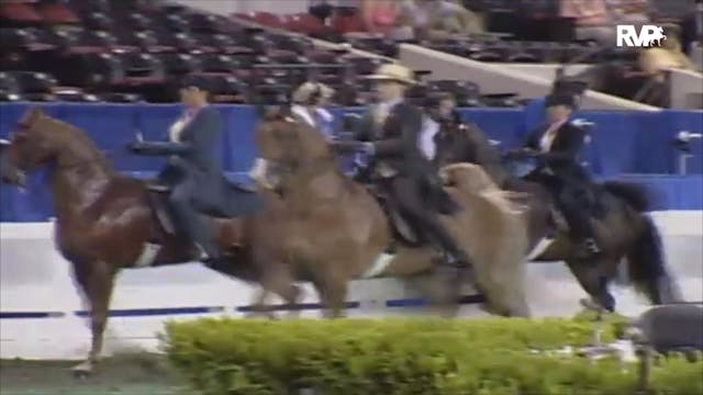 2006 WCHS Class 39 Equitation Open Ri...