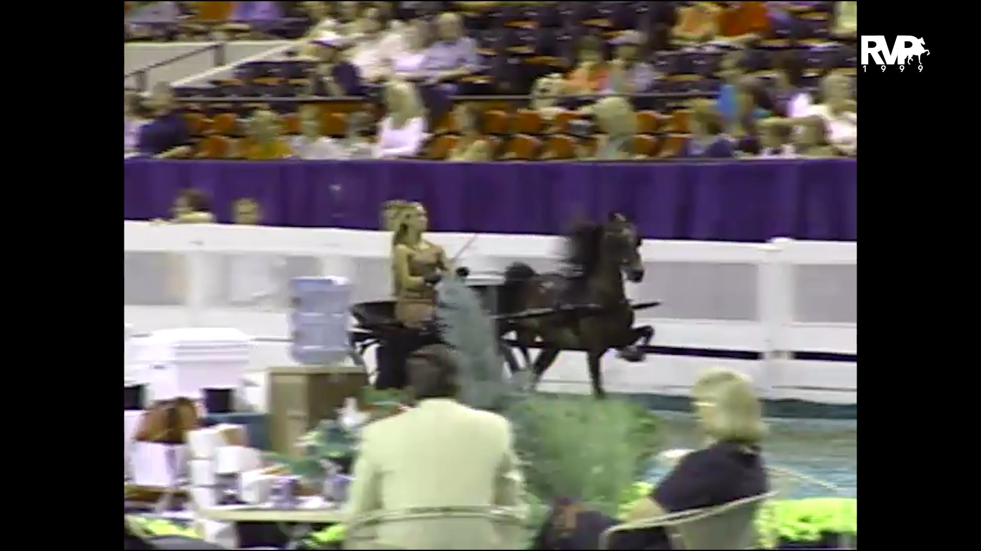 1999 WCHS - Class 39 AHHS Youth Medallion Hackney-Harness Pony Pleasure Driving